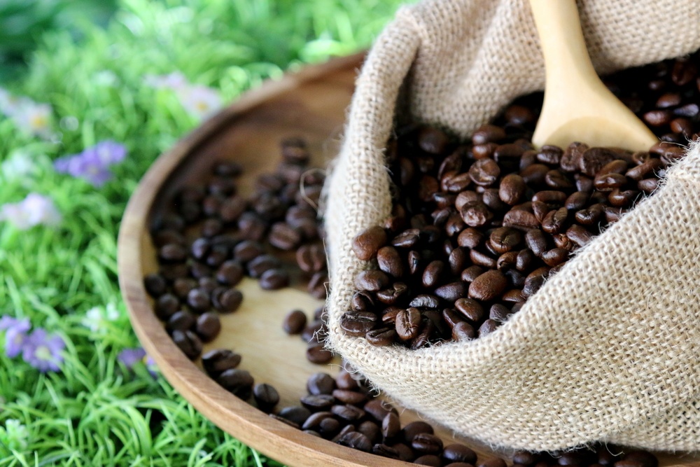Roburta Arabica-robusta-robusta – Using Your Suvie