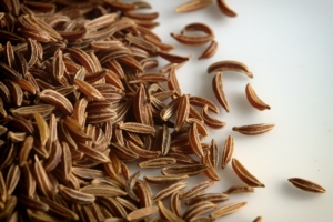 caraway